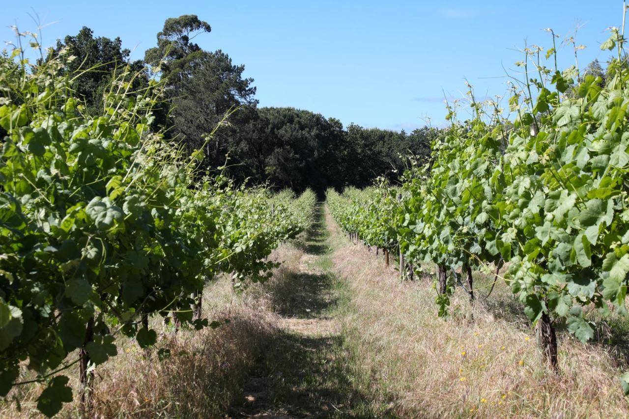 Quinta De Chousas - Braga - Agroturismo Esterno foto